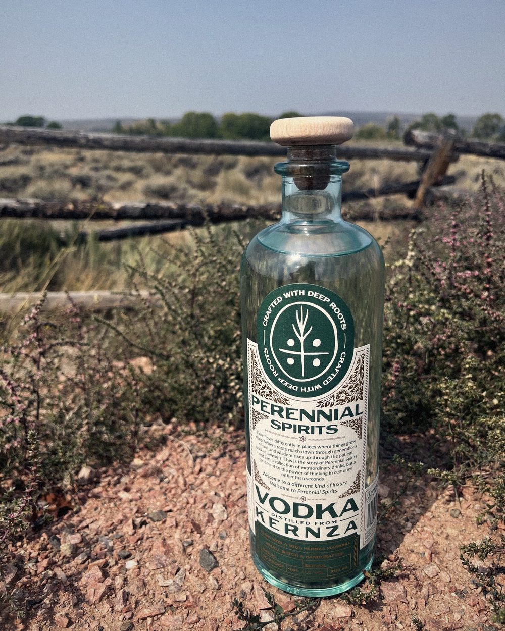 A bottle of Perennial Spirits Kernza vodka in a field